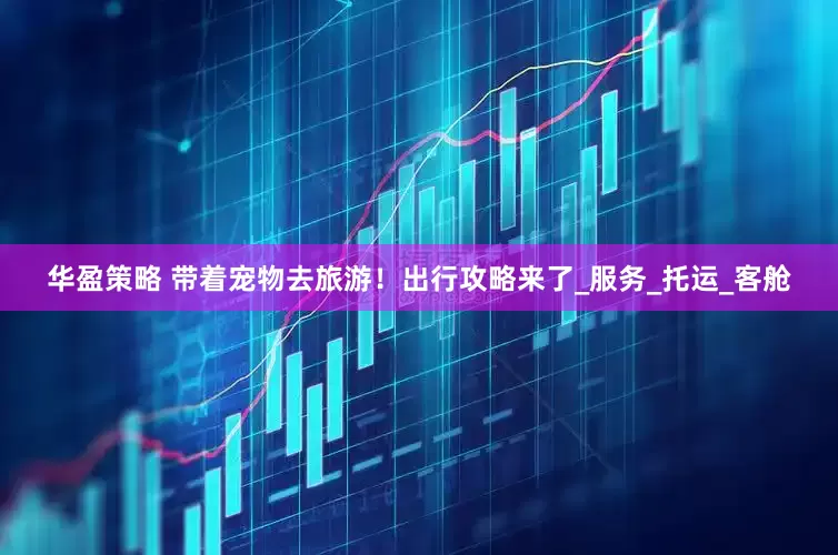 华盈策略 带着宠物去旅游！出行攻略来了_服务_托运_客舱