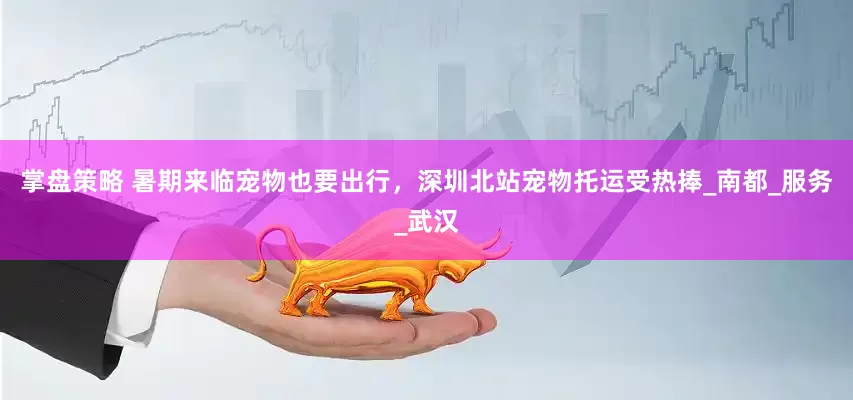 掌盘策略 暑期来临宠物也要出行，深圳北站宠物托运受热捧_南都_服务_武汉