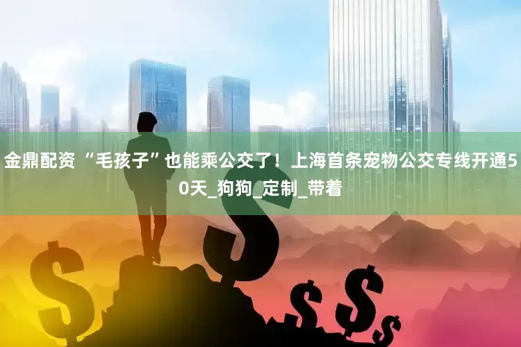 金鼎配资 “毛孩子”也能乘公交了！上海首条宠物公交专线开通50天_狗狗_定制_带着