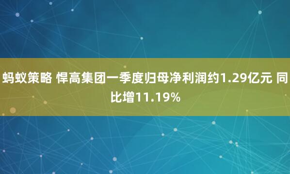 蚂蚁策略 悍高集团一季度归母净利润约1.29亿元 同比增11.19%